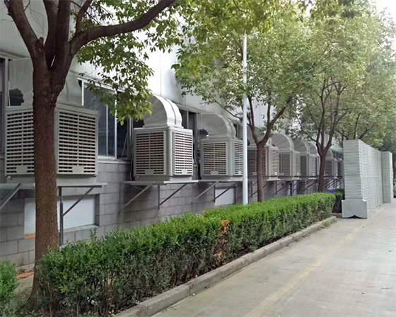 xL(fng)C(j)S(chng)